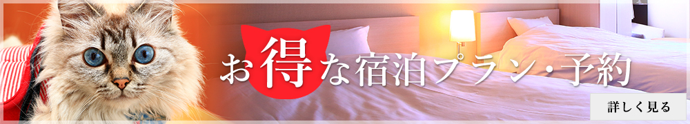 おすすめの宿泊プラン